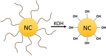 Graphical abstract: Aqueous transfer of colloidal metal oxide nanocrystals via base-driven ligand exchange