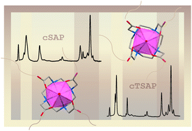 Graphical abstract: Invisible strings. The first single crystal of the cTSAP form of [Eu(DOTA)(H2O)]− has an electronic structure similar to one of the reported cSAP forms