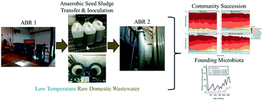 Graphical abstract: Succession of founding microbiota in an anaerobic baffled bioreactor treating low-temperature raw domestic wastewater