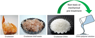 Graphical abstract: Comprehensive review on pre-treatment of native, crystalline chitin using non-toxic and mechanical processes in preparation for biomaterial applications