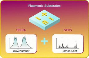 Graphical abstract: Towards multi-molecular surface-enhanced infrared absorption using metal plasmonics