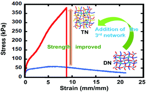 Graphical abstract: Interpenetrated triple network polymers: synergies of three different dynamic bonds