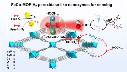 Graphical abstract: Tailoring metal sites of FeCo-MOF nanozymes for significantly enhanced peroxidase-like activity