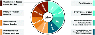 Graphical abstract: Inorganic–organic hybrid materials to detect urinary biomarkers: recent progress and future prospects