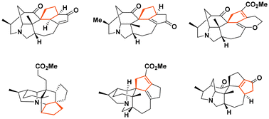 Graphical abstract: Five-membered carbocycle construction in the synthesis of Daphniphyllum alkaloids: recent strategic and methodological advances