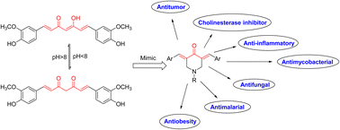 Graphical abstract: Synthesis and bio-properties of 4-piperidone containing compounds as curcumin mimics