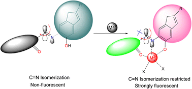 Graphical abstract: Advancements in the development of fluorescent chemosensors based on C [[double bond, length as m-dash]] N bond isomerization/modulation mechanistic approaches