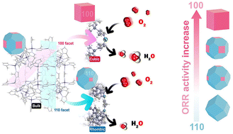 Graphical abstract: Impact of exposed crystal facets on oxygen reduction reaction activity in zeolitic imidazole frameworks