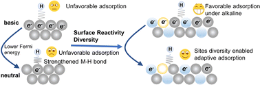 Graphical abstract: Reducing the pH dependence of hydrogen evolution kinetics via surface reactivity diversity in medium-entropy alloys