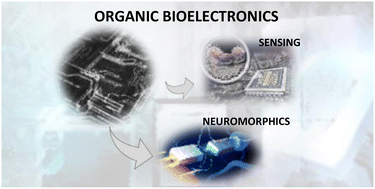 Graphical abstract: Spiers Memorial Lecture: Challenges and prospects in organic photonics and electronics