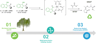 Graphical abstract: Bio-based captodative ligands for redox polymerization of Elium® thermoplastic composites under mild conditions