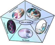 Graphical abstract: Recent advances in cellulose nanocrystals-based sensors: a review