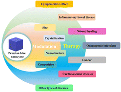 Graphical abstract: Prussian blue nanozymes: progress, challenges, and opportunities