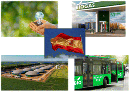 Graphical abstract: Current state of biogas and biomethane production and its implications for Spain