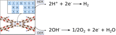 Graphical abstract: Hydrogen and oxygen evolution reactions on single atom catalysts stabilized by a covalent organic framework