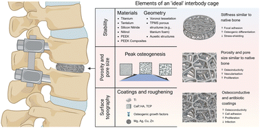 Graphical abstract: Advances in implants and bone graft types for lumbar spinal fusion surgery