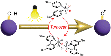 Graphical abstract: Direct photocatalytic C–H functionalization mediated by a molybdenum dioxo complex