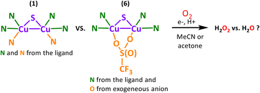 Graphical abstract: Bio-inspired copper complexes with Cu2S cores: (solvent) effects on oxygen reduction reactions