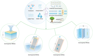 Graphical abstract: Emerging bioinspired hydrovoltaic electricity generators
