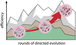 Graphical abstract: Spiers Memorial Lecture: Engineering biocatalysts