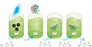 Graphical abstract: Optimization of 5-hydroxymethylfurfural oxidation via photo-enzymatic cascade process