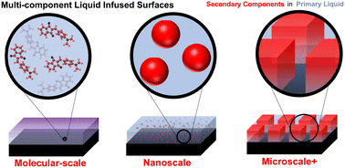 Graphical abstract: Multi-component liquid-infused systems: a new approach to functional coatings