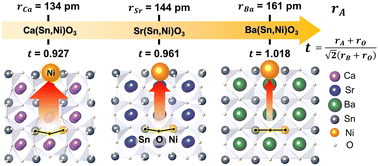 Graphical abstract: Accelerating metal nanoparticle exsolution by exploiting tolerance factor of perovskite stannate