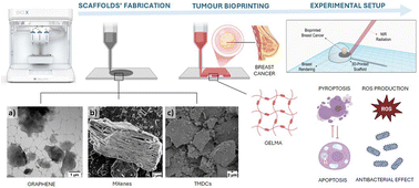 Graphical abstract: Impact of different 2D materials on the efficacy of photothermal and photodynamic therapy in 3D-bioprinted breast cancer