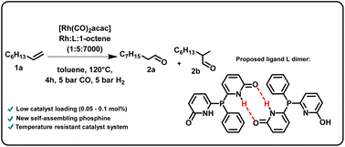 Graphical abstract: Highly (regio)selective hydroformylation of olefins using self-assembling phosphines