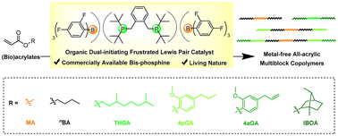 Graphical abstract: A dual-initiating organic frustrated Lewis pair catalyst for living polymerizations of (bio)acrylates to facilitate the synthesis of metal-free multiblock copolymers