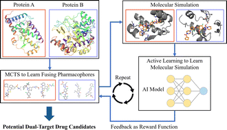 Graphical abstract: Structure-aware dual-target drug design through collaborative learning of pharmacophore combination and molecular simulation