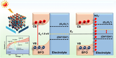 Graphical abstract: A changeable critical state for a switchable photocurrent direction via the photo-electrochemical photocurrent polarity switching effect in BiFeO3 nanoparticulate films