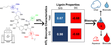 Graphical abstract: Structure–reactivity relationships governing hydrothermal liquefaction of lignin from co-solvent enhanced lignocellulosic fractionation (CELF)