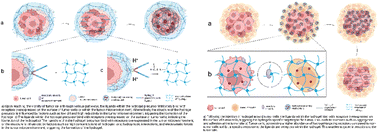 Graphical abstract: Recent research progress on tumour-specific responsive hydrogels