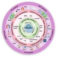 Graphical abstract: Nanozymes in cancer immunotherapy: metabolic disruption and therapeutic synergy