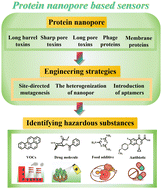 Graphical abstract: Protein nanopore-based sensors for public health analyte detection