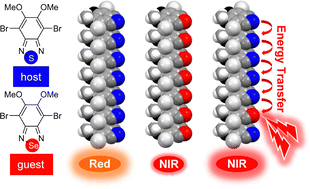 Graphical abstract: Enhanced near-infrared phosphorescence found in a structurally similar host–guest system