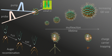 Graphical abstract: Tuning high-order multiexciton properties of colloidal CdSe quantum dots via size and surface modification