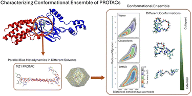 Graphical abstract: Characterizing the conformational ensemble of PROTAC degraders in solutions via atomistic simulations