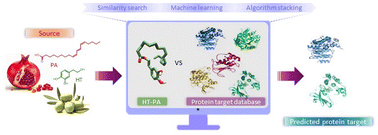 Graphical abstract: Integrative reverse-screening approaches for target discovery: the case of hydroxytyrosyl punicate
