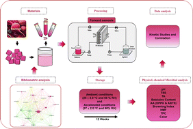 Graphical abstract: Effect of storage conditions on quality, microbial stability, and shelf-life kinetics of beetroot juice concentrate