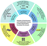 Graphical abstract: Interplay of stoichiometry and crystallization kinetics in vapor-based hybrid perovskite film growth