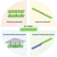 Graphical abstract: Site-selective functionalization of solution-processed transition metal dichalcogenides for vertical and lateral covalent networks and heterostructures