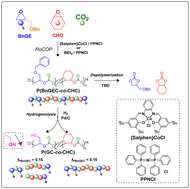 Graphical abstract: CO2/epoxides ring-opening copolymerization towards hydroxy-functionalized polycarbonates