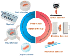 Graphical abstract: Recent advances in phenotypic antimicrobial susceptibility testing enabled by microfluidic technologies