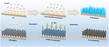 Graphical abstract: Stable lithium plating/stripping electrochemistry promoted by a MnO2 modified copper current collector for stable lithium metal anodes