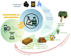 Graphical abstract: Sustainability by defossilization: from global insights to a closer look at Malaysia