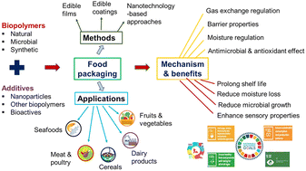 Graphical abstract: From concept to shelf: engineering biopolymer-based food packaging for sustainability