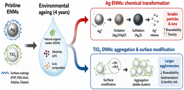 Graphical abstract: Understanding the surface chemistry of long term environmentally transformed nanomaterials for regulatory assessment