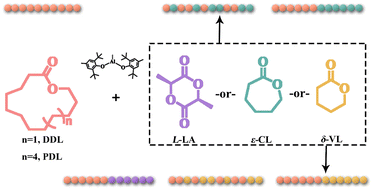 Graphical abstract: Ring-opening (co)polymerization of macrolactones catalyzed by a simple organoaluminum complex of MeAl(BHT)2
